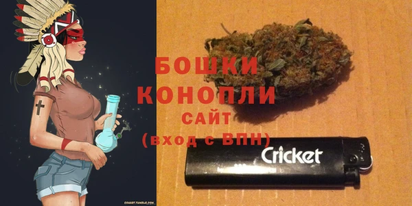 гидра Майский
